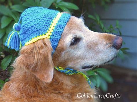 Dog Hat – Share a Pattern