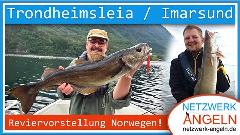 Angeln In Norwegen Trondheimsleia Imarsund YouTube