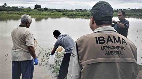 Ibama Age Em Apenas Dos Alertas De Desmatamento Diz Estudo