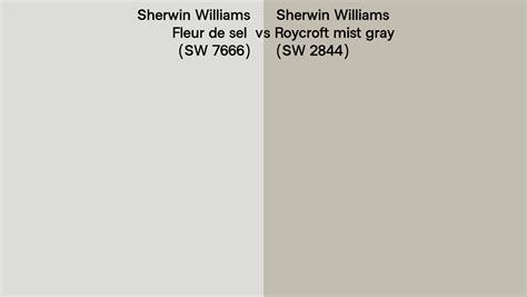 Sherwin Williams Fleur De Sel Vs Roycroft Mist Gray Side By Side Comparison