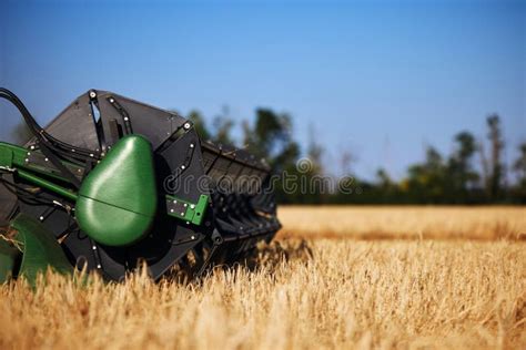 Agricultural Combine Harvester In The Field During Harvest Ripe Wheat