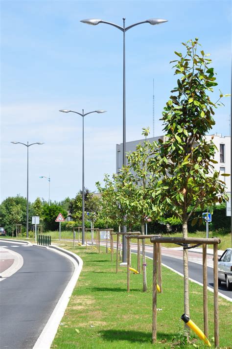 Boulevard Charles De Gaulle Caussat Espaces Verts L Acteur Du Paysage