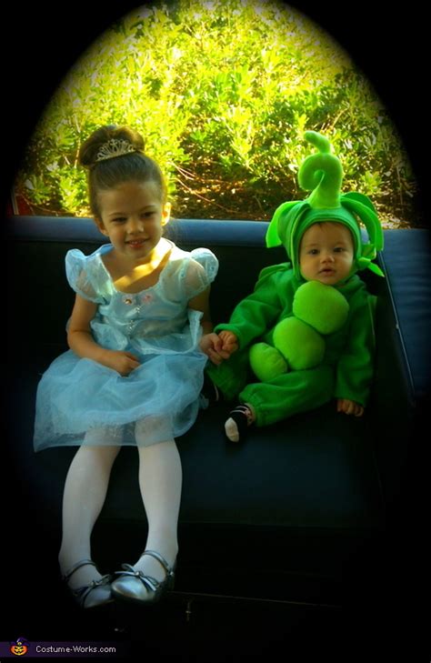 The Princess and The Pea Costume