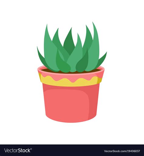 Green Home Plant In A Flowerpot Cartoon Royalty Free Vector