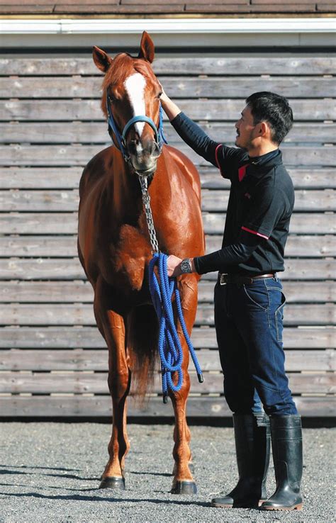 7枠12番のセラフィックコール陣営「偶数は良かった」無傷6連勝でg1戴冠なるか【チャンピオンズc】：中日スポーツ・東京中日スポーツ