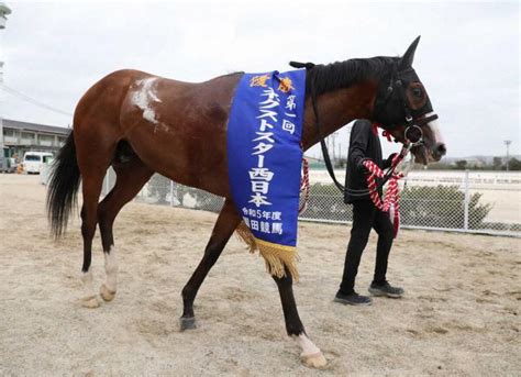 【園田競馬・ネクストスター西日本】ここも小牧太 20年ぶり兵庫重賞v リケアサブルが初代王者 競馬ニュース Netkeiba