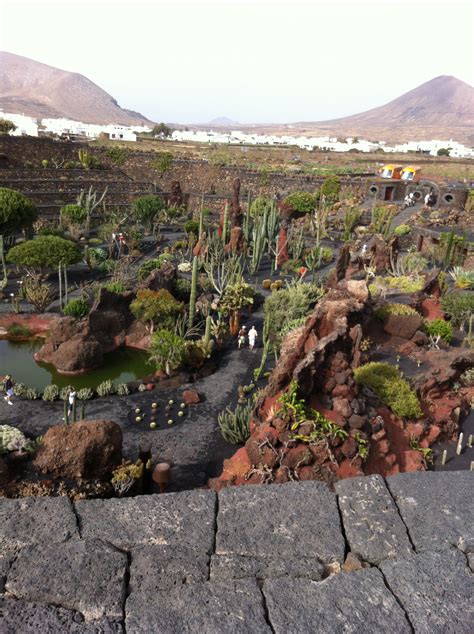 Jardin De Cactus Plantes Jard N De Cactus Lanzarote Routard