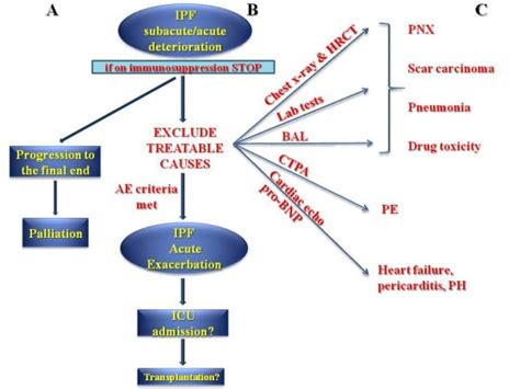 Clinical Scenarios For The Idiopathic Pulmonary Fibrosis Ipf Patient Download Scientific