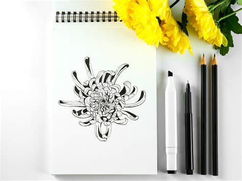 Boldly Creating: The Best Canson Sketchbook Options!