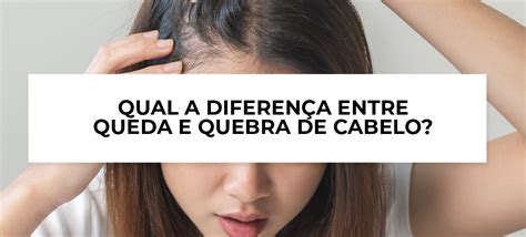 Qual a diferença entre a queda e a quebra de cabelo Blog Ada Tina