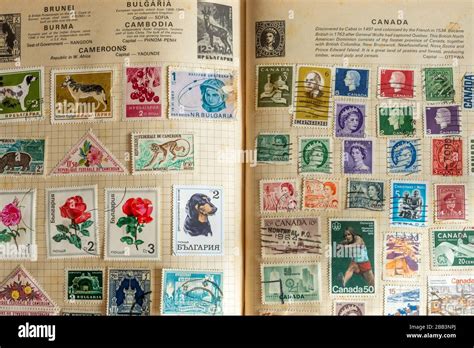 Stamp Album Collecting Stamps Hobby Hobbies Philately Stock Photo