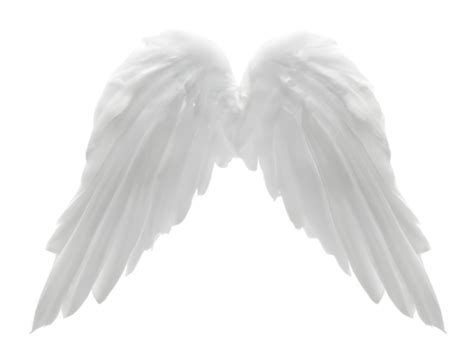 Angel Wing PNGs for Free Download