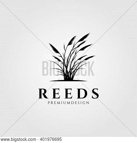 Vintage Reeds Logo Vector & Photo (Free Trial) | Bigstock