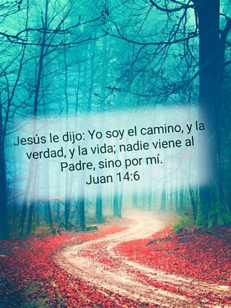 Jesús Le Dijo Yo Soy El Camino Y La Verdad Y La Vida Nadie Viene Al Padre Sino Por Mí