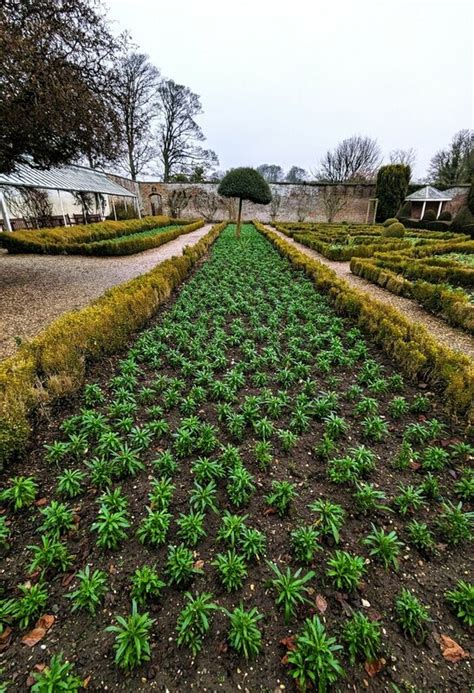 Winter Bedding Sewerby Hall Walled Jthomas Cc By Sa