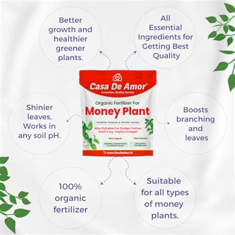 Casa De Amor Essential Combo Pack Tulsi Fertilizer Gm Money