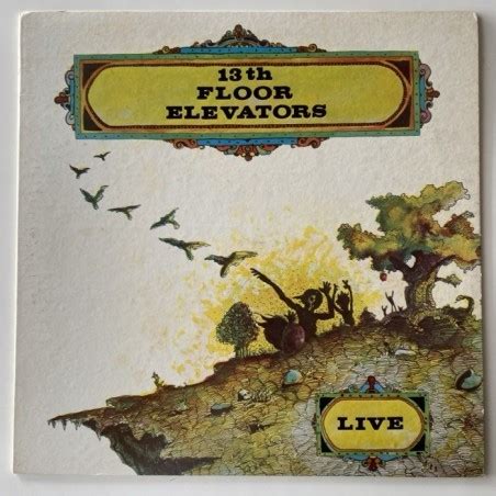 13th Floor Elevators - Live