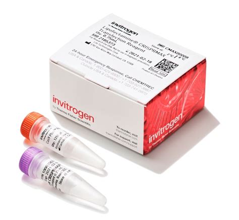 Lipofectamine Crisprmax Cas Transfection Reagent