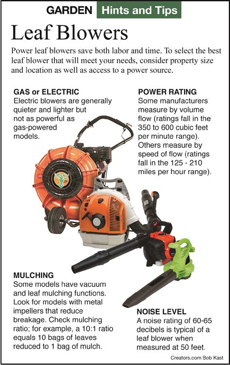 Rakes Versus Leaf Blowers Benefits And Drawbacks