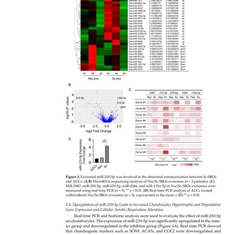 Exosomal Mir P Was Involved In The Abnormal Communication Between