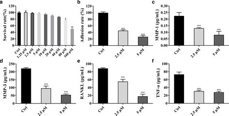 Berberine Inhibits Ra Fls Cell Proliferation And Adhesion By Regulating