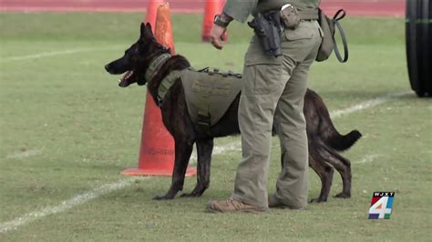 Jso K 9 2 Fhp K 9s Named ‘top Dog Winners During K9s United Law