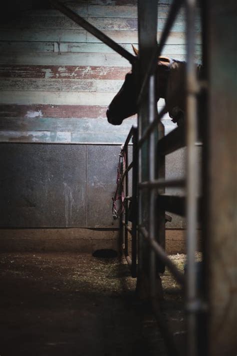 Interior of an Abandoned Barn · Free Stock Photo