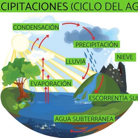 Qu Tipo De Precipitaciones Existen Realiza Un Esquema Y Expl Calo