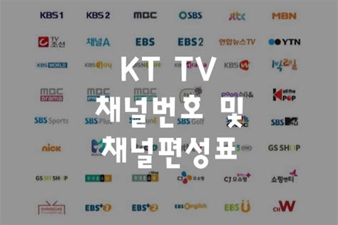 KT TV 채널번호 및 채널 편성표 올레티비 지니티비 요금제 정보 TIPMAD