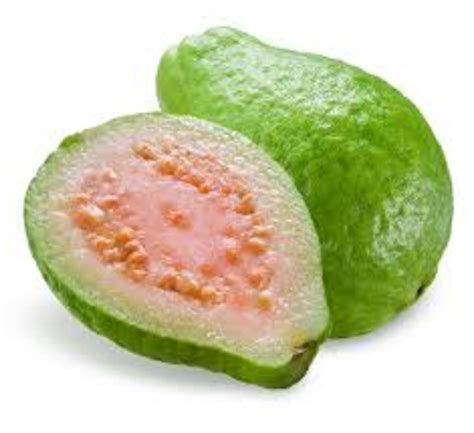 Uses of Guava Tree | HubPages