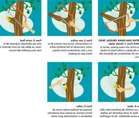 Consejos Para Podar Arbustos Y Rboles De Forma Efectiva Y Segura
