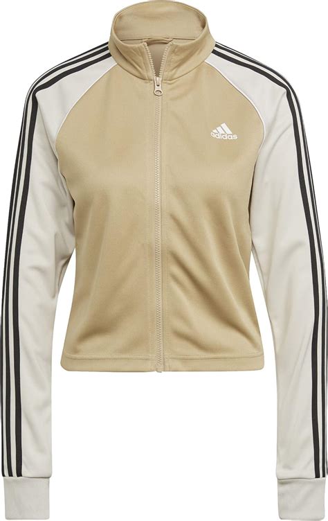 Adidas Damen W Teamsport Ts Sportanzug Tonbei S Amazon De Fashion