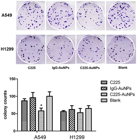 The Colony Formation Of A549 And H1299 Cells Treated With C225