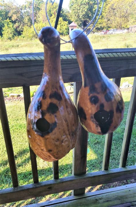 Small Duo Scorched And Stained Faces Gourd Birdhouses Etsy