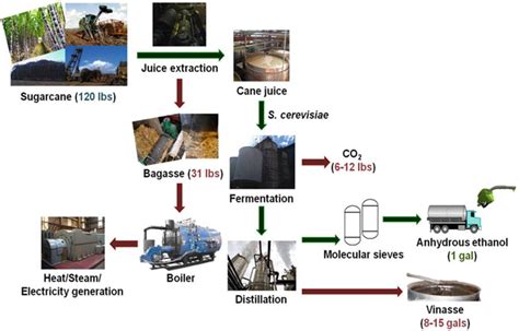 2 Schematic Diagram Of Sugarcane Ethanol Production Download