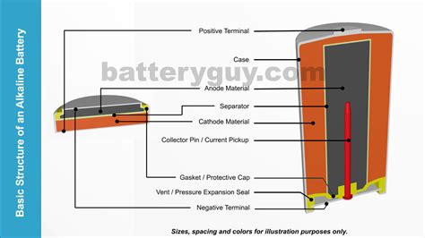 Alkaline Cell Diagram Stock Illustration