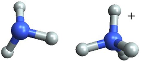 Figure 5 Ammonia Molecule Nh3 And Ammonium Ion Nh4 Structure And