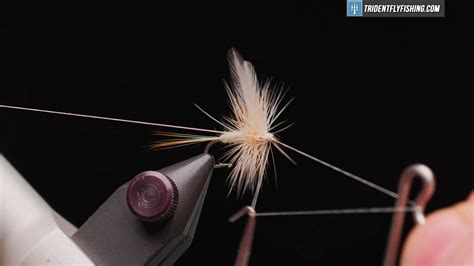 How To Tie The Sulphur Dun Dry Fly Trident Fly Fishing