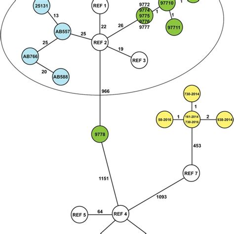 Minimum Spanning Tree Of The Core Genome Mlst Results From All Mrsp