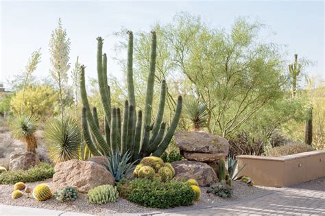 Beyond The Ordinary Phoenix Home Garden Desert Landscaping Backyard