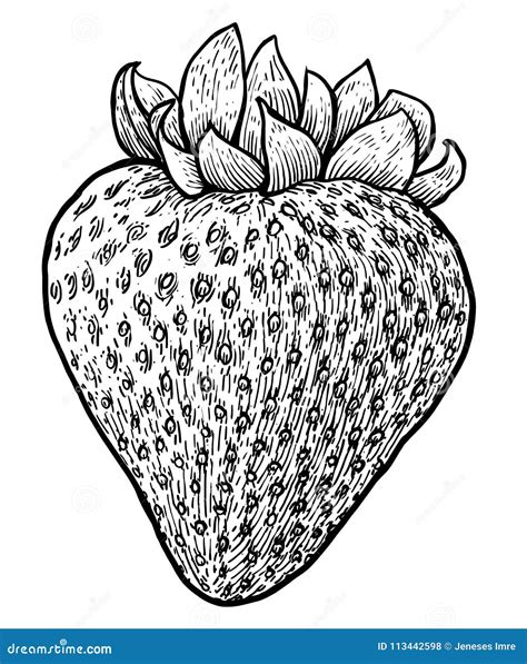 Strawberry Sketch Pencil