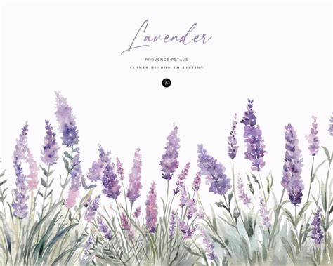 Watercolor Lavender Border Lavender Meadow Clipart Floral Border ...