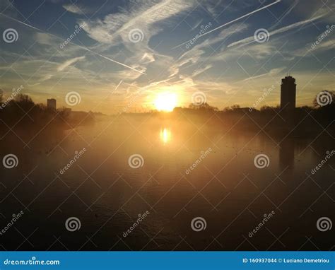 Early Bird Catches the Worm Stock Photo - Image of worm, catches: 160937044