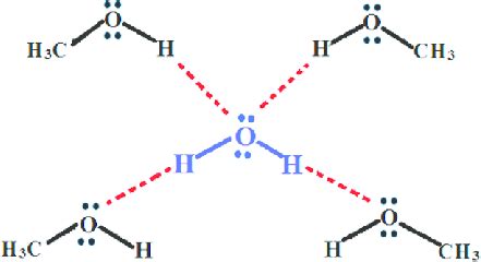 Hydrogen bonding between water and methanol molecules. | Download ...