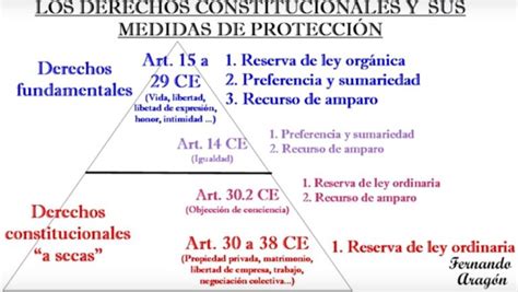 Derechos Constitucionales Derechos Fundamentales Y Principios Rectores López De Lemus Abogados