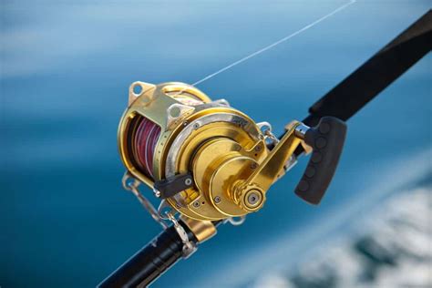 The Ultimate Fishermans Guide To Fishing Reels Outdoor Troop