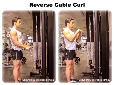 Reverse Cable Curls | Quick 1:47 Min Step-by-Step Video