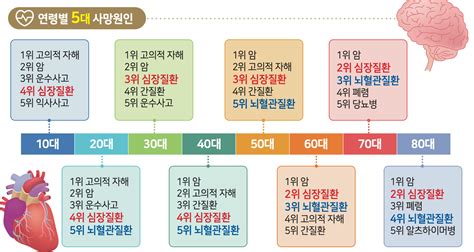 뇌 심혈관 질환 시대발생 빈도 보장 범위 분류표 당신의 재무 파트너