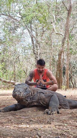 D Tour Komodo Labuan Bajo Aktuell F R Lohnt Es Sich