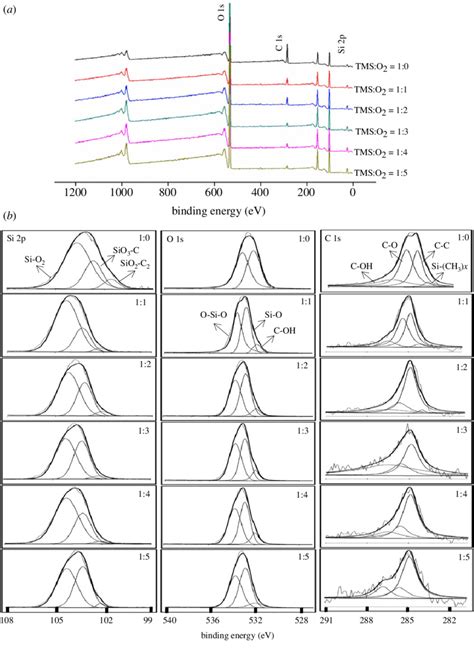 Xps Spectra Measured On The Sio X H Plasma Nanocoatings A